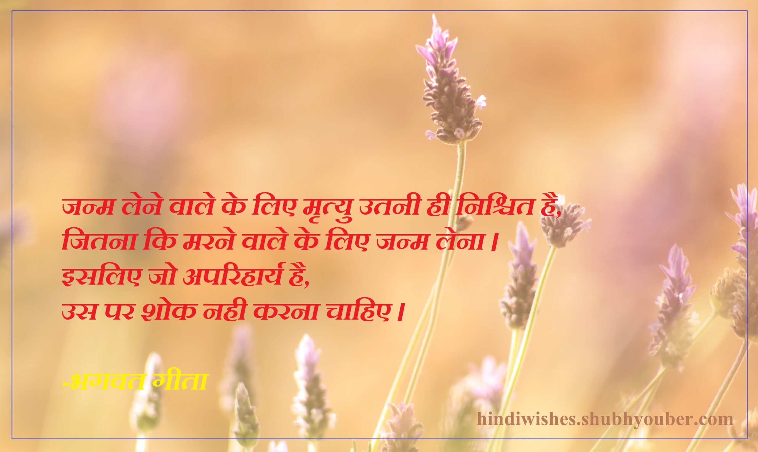 Bhagavad Geeta Saar in Hindi 