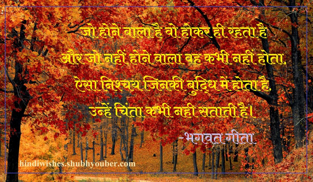 Bhagavad Geeta Saar in Hindi 